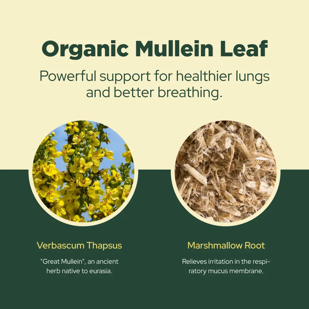 Mullein Liquid Drops (Organic)