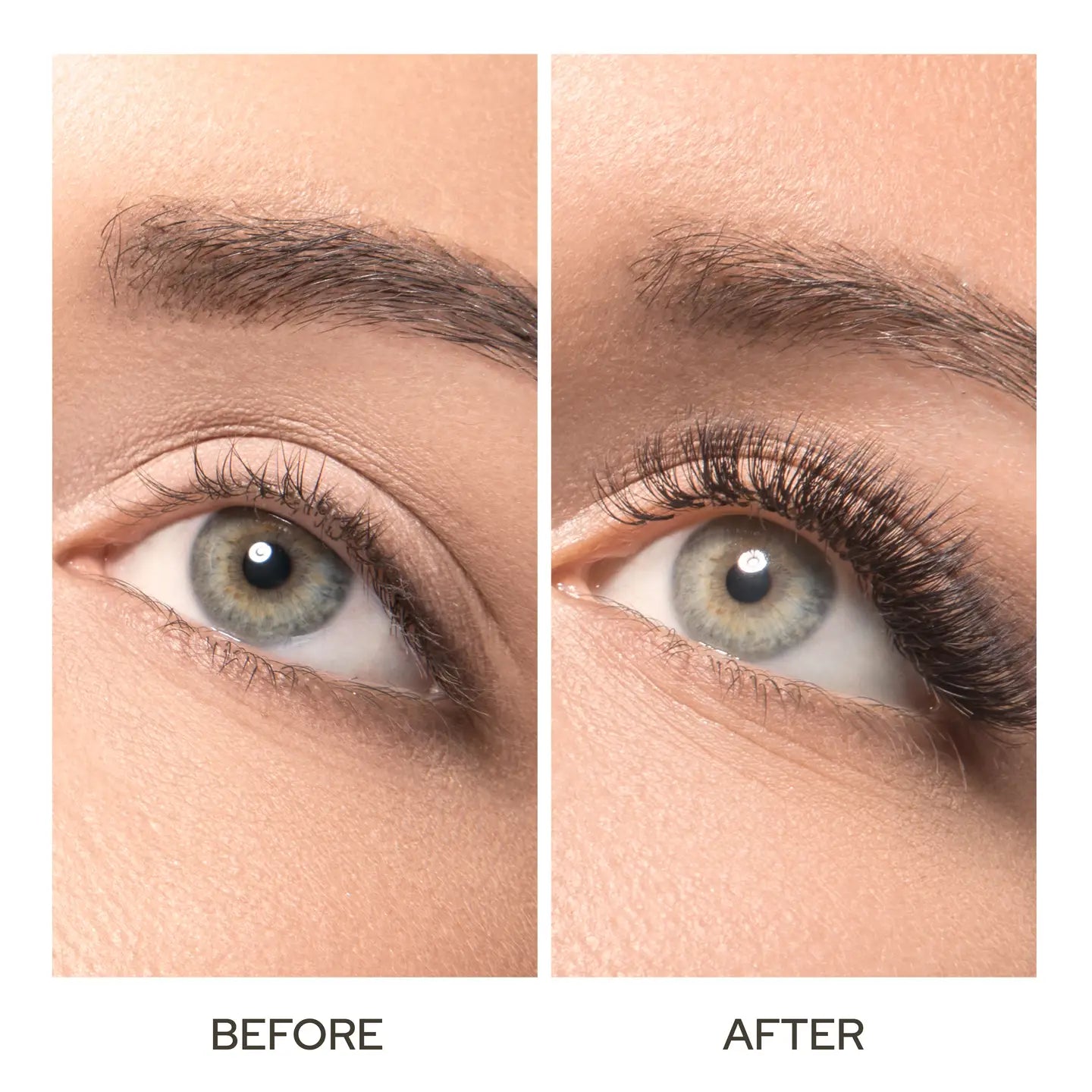 Castor Oil (Organic)