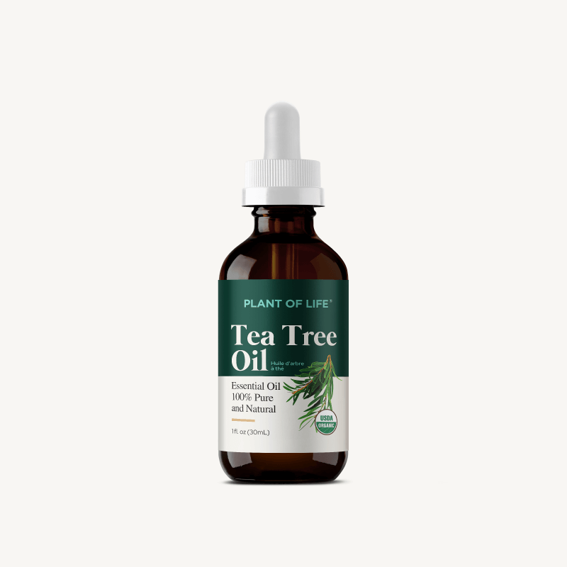tea tree oil for indoor plants Tea Tree Essential Oil (Organic) – PLANT OF LIFE