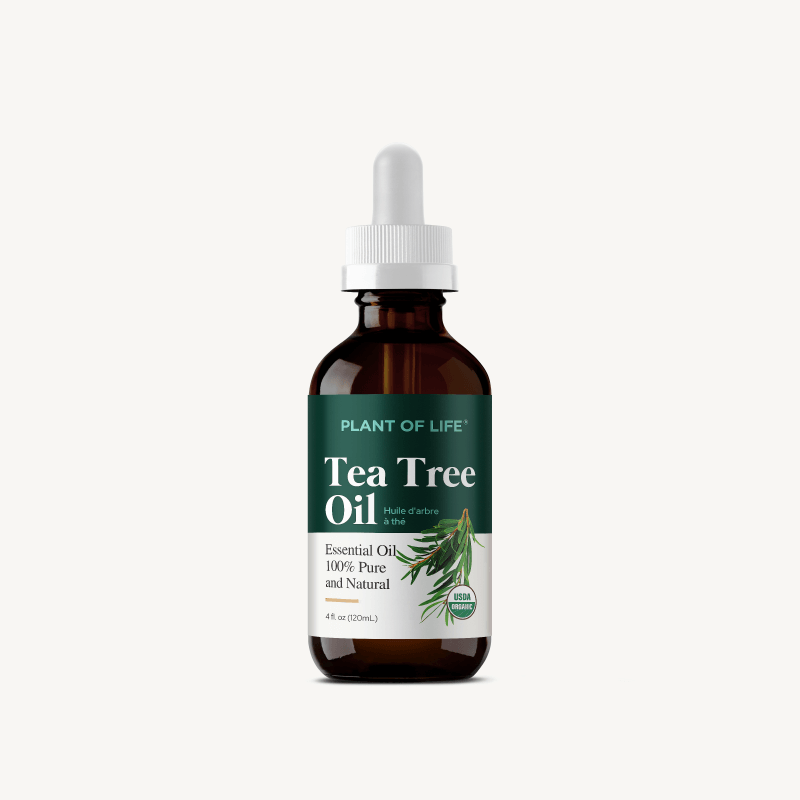 Tea Tree Essential Oil (Organic)