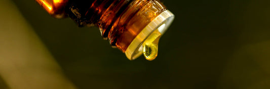 The Ultimate Holiday Self-Care Guide: 5 Natural Oils to Beat Winter Dryness