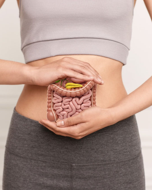 The Science of Prebiotics: Why Your Gut Needs More Than Just Probiotics