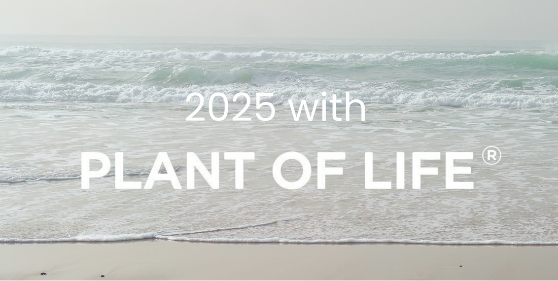 2025 Plant of Life Recap: Our top 5 Best Sellers and what they said