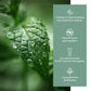 Peppermint Essential Oil (Organic)