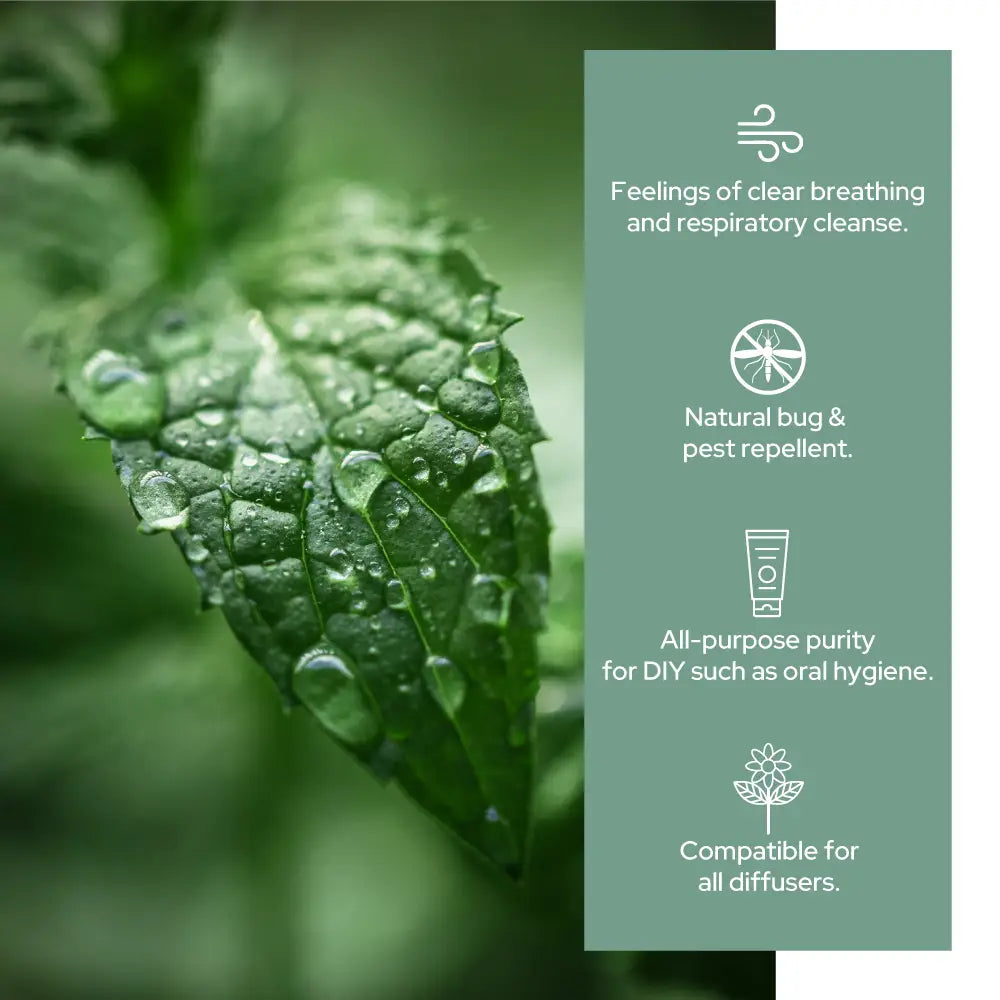 Peppermint Essential Oil (Organic)