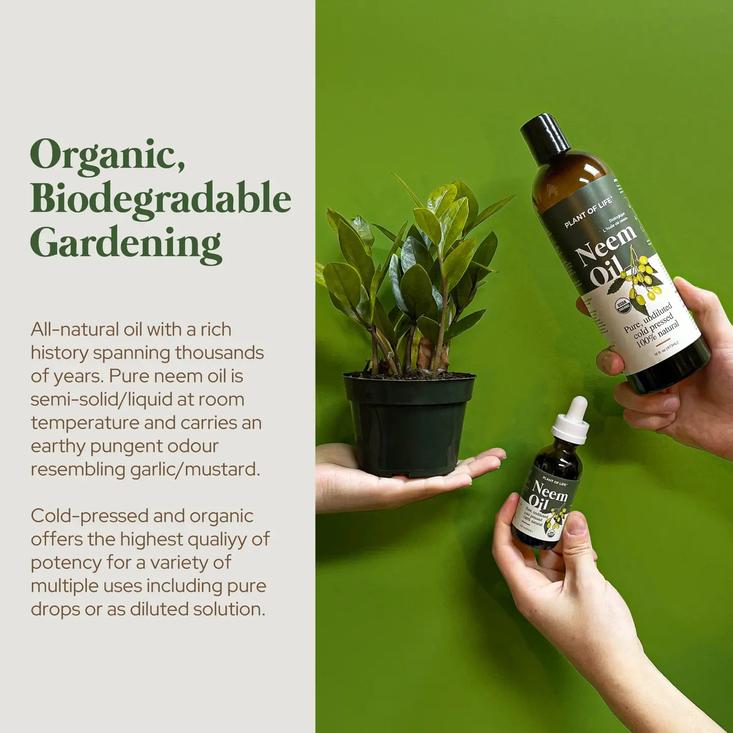 Neem Oil (Organic)