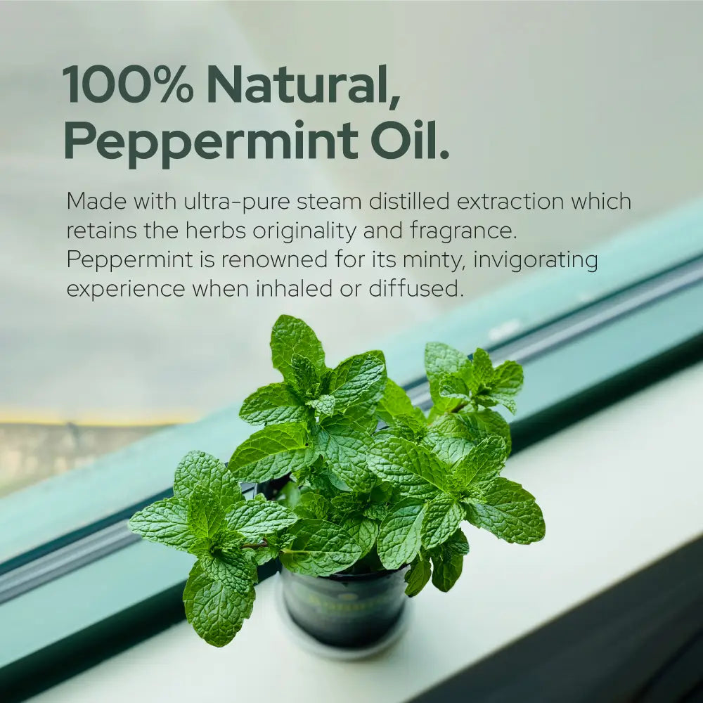 Peppermint Essential Oil (Organic)