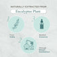 Eucalyptus Essential Oil (Organic)