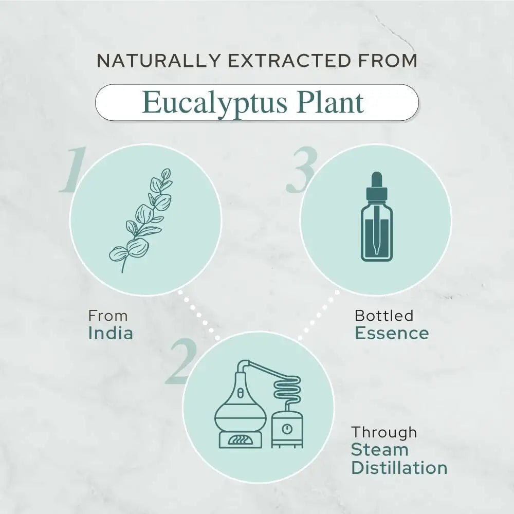 Eucalyptus Essential Oil (Organic)