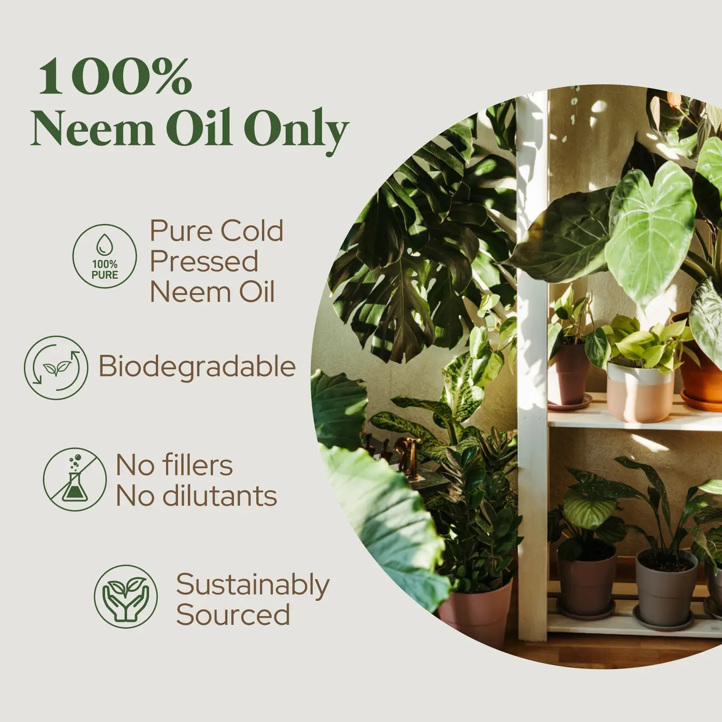 Neem Oil (Organic)