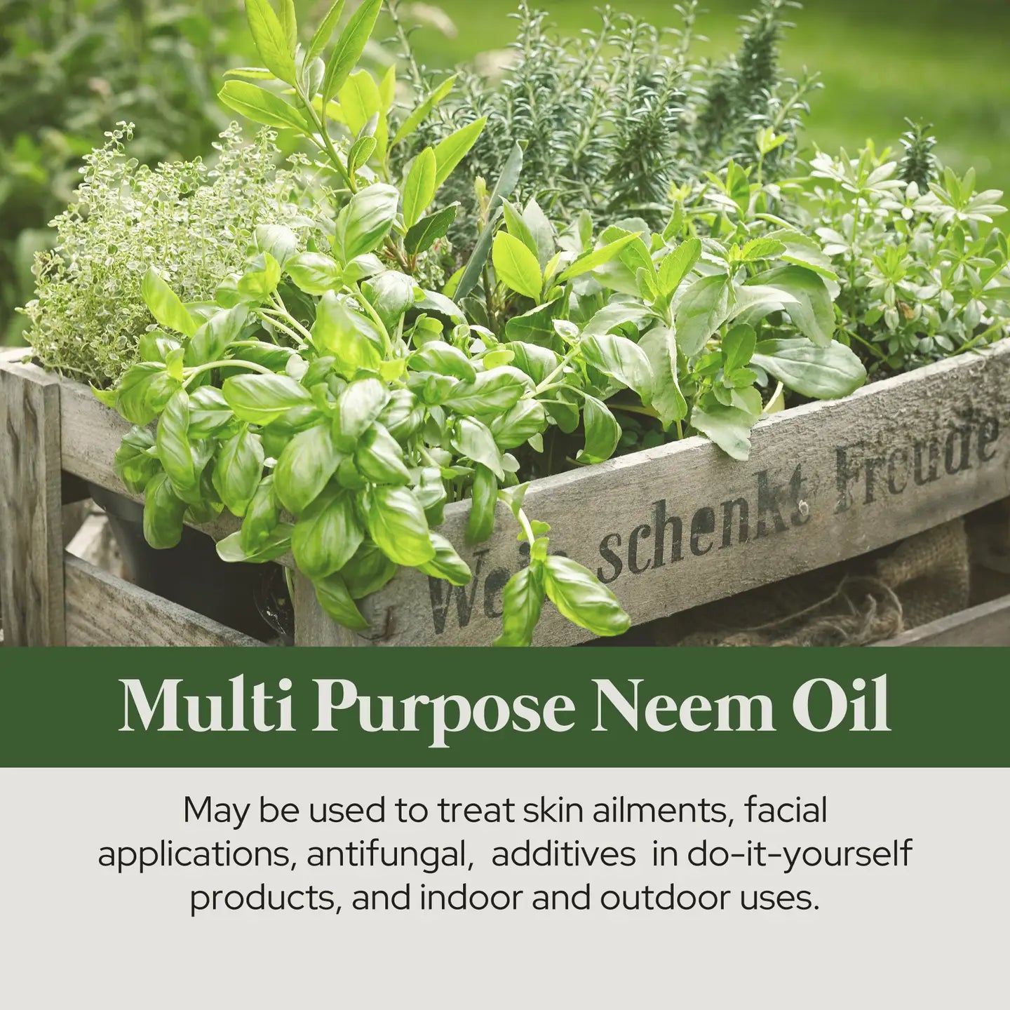 Neem Oil (Organic)