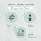 Peppermint Essential Oil (Organic)
