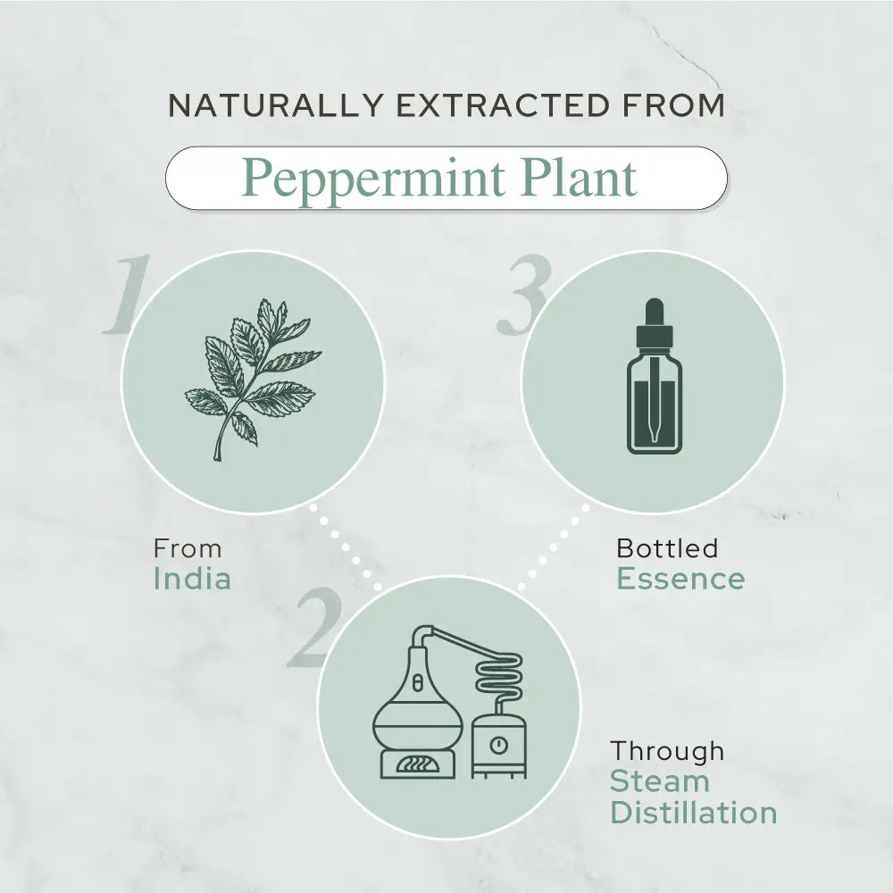 Peppermint Essential Oil (Organic)