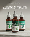 Breathe Easy Set