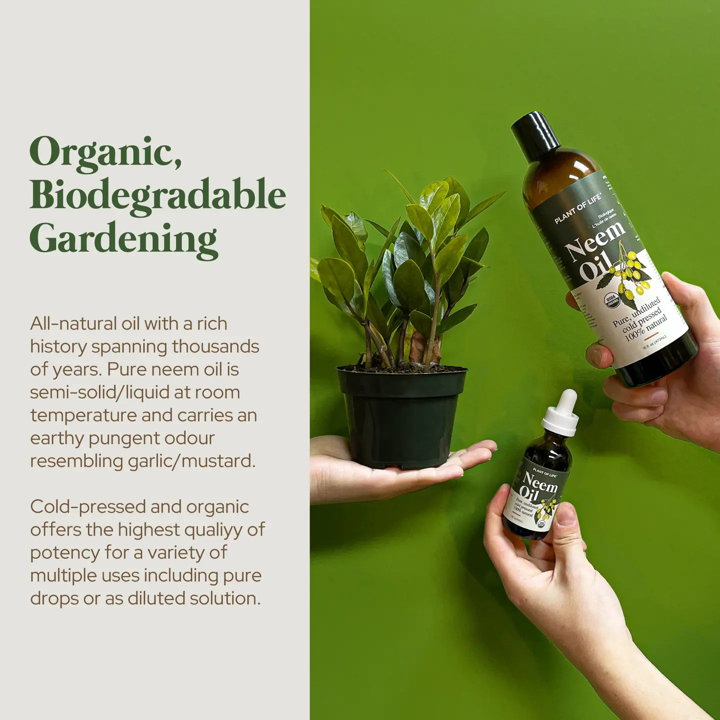 Clear Skin Essentials